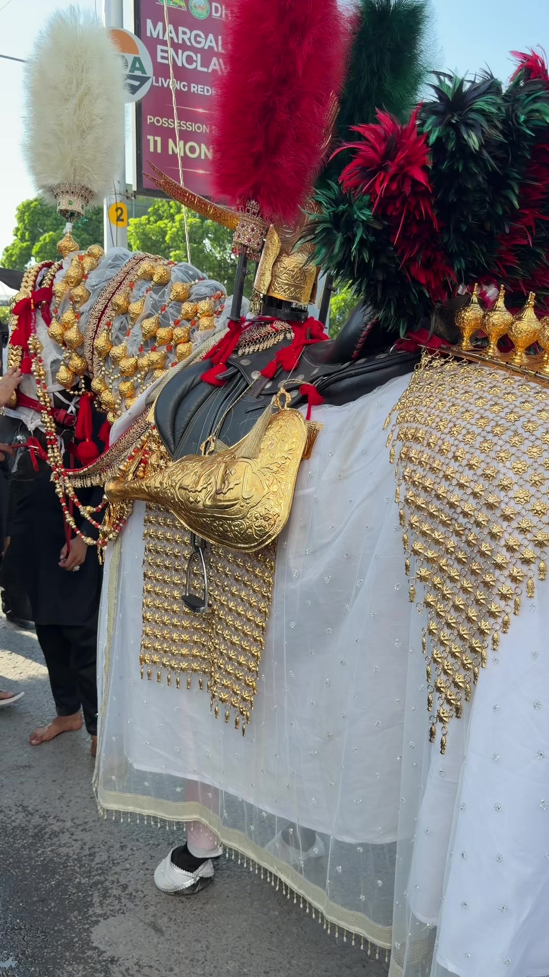 @𝙎ی𝙙 𝙁𝙖𝙧ح𝙖𝘿 ش𝙃𝙖𝙃 💫