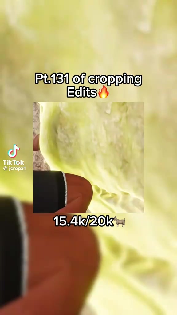 @C0B0.2shity