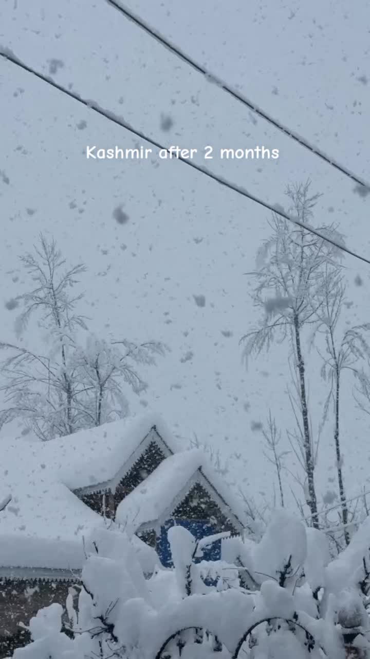 @KASHMIRI 🍁