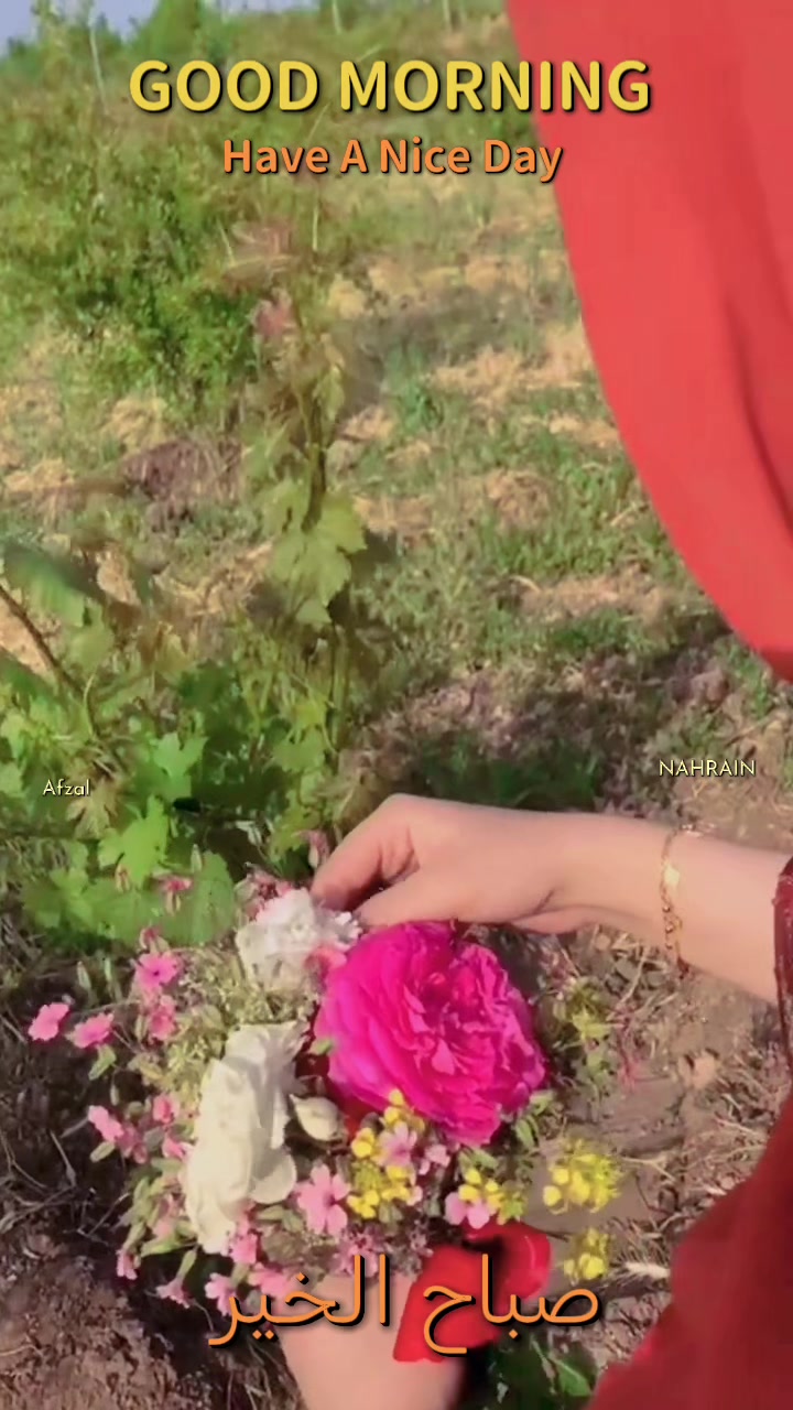 @Nahrain