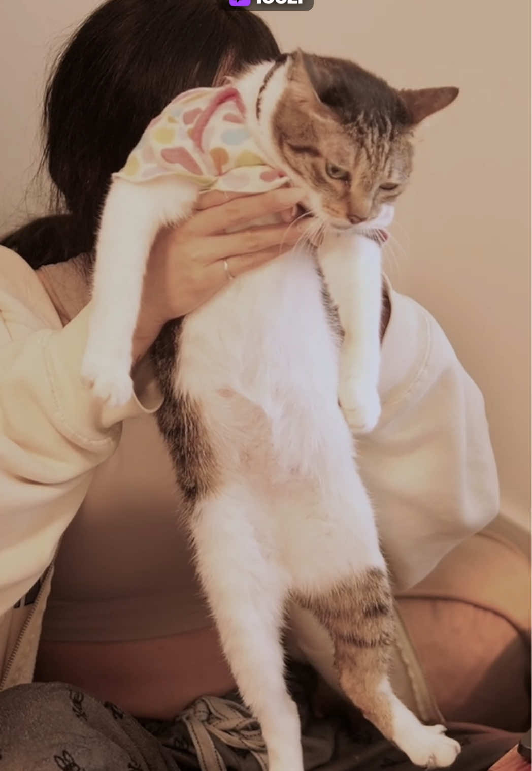 @Leezipotato