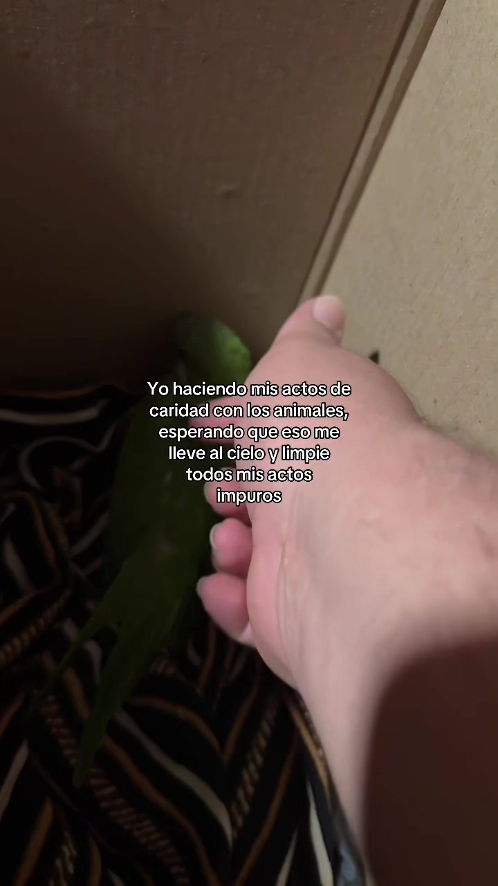 @๐๐๐๐ญ๐ญ๐ ๐ข๐๐๐ฌโ