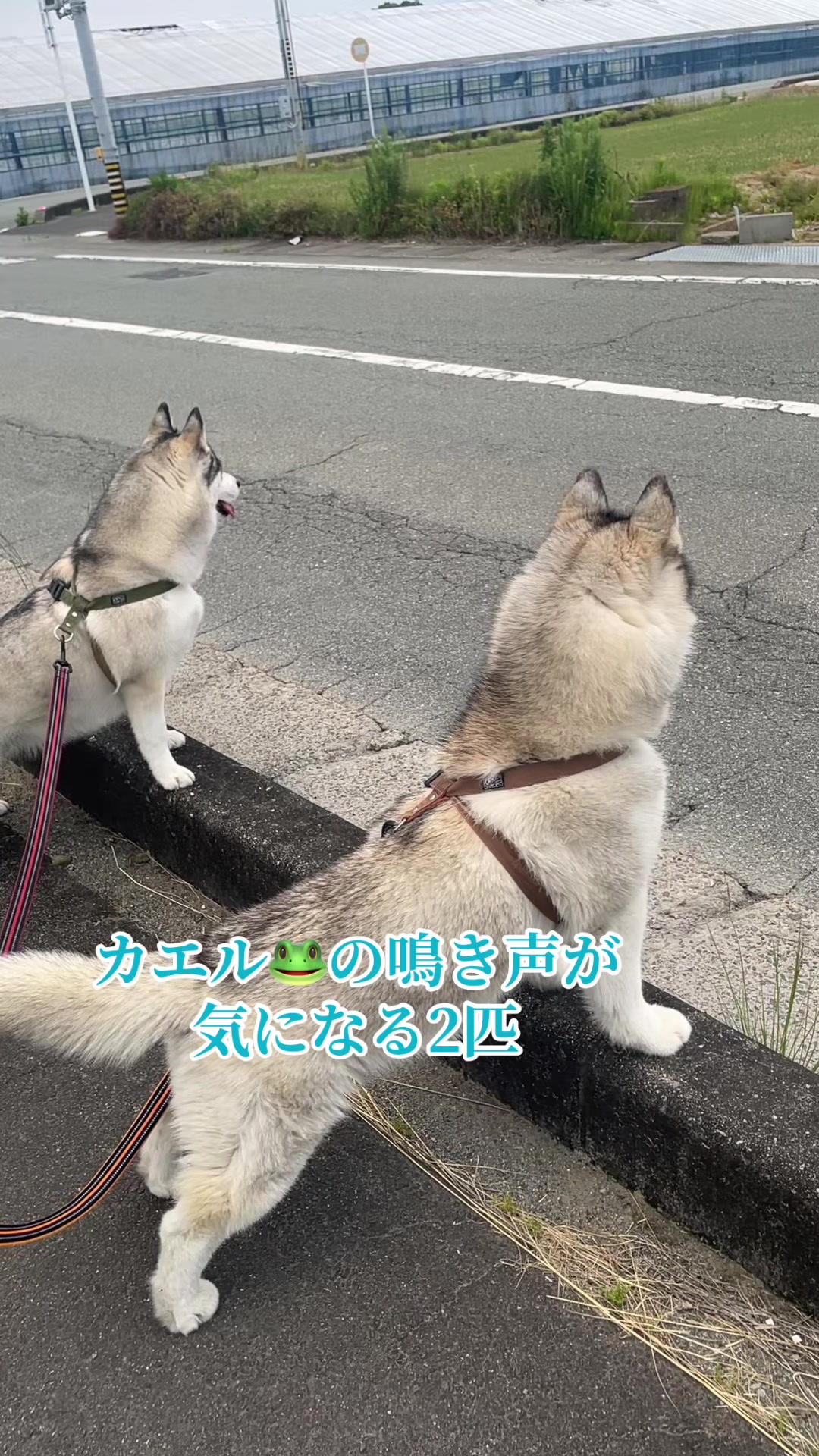 @サン☀️とムーン🌙