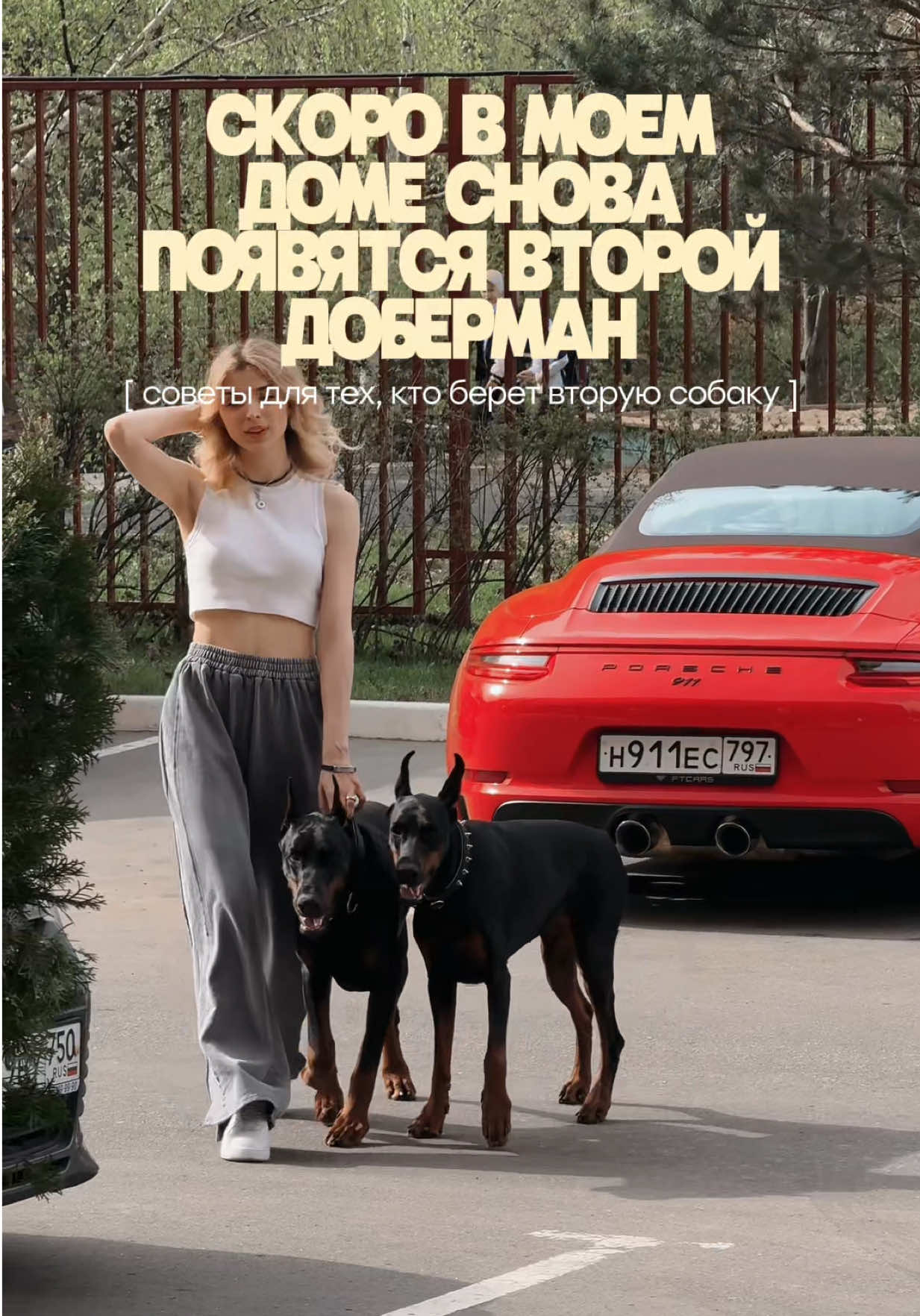 @Дари Доберс
