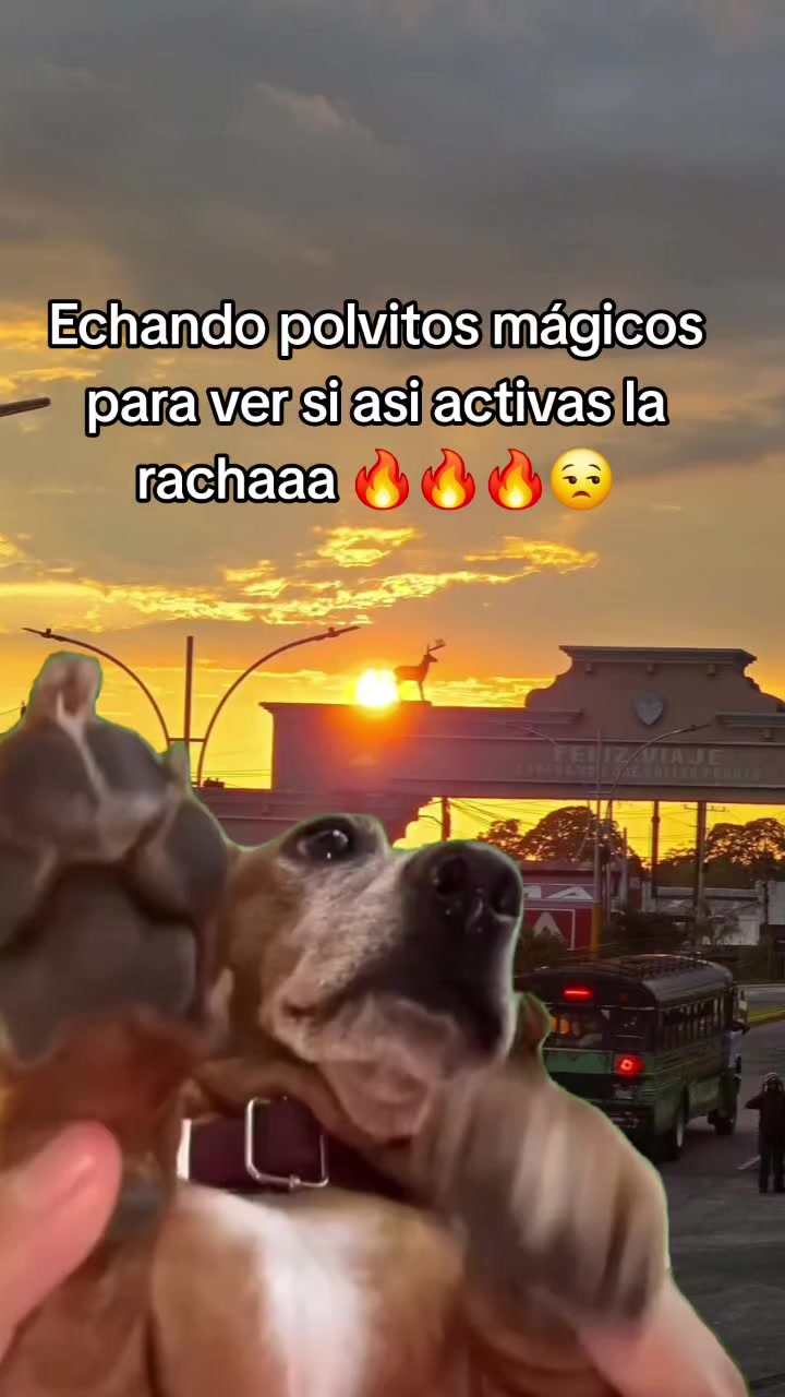 @José❤️🔥Pablo❤️🔥Chúm🇬🇹