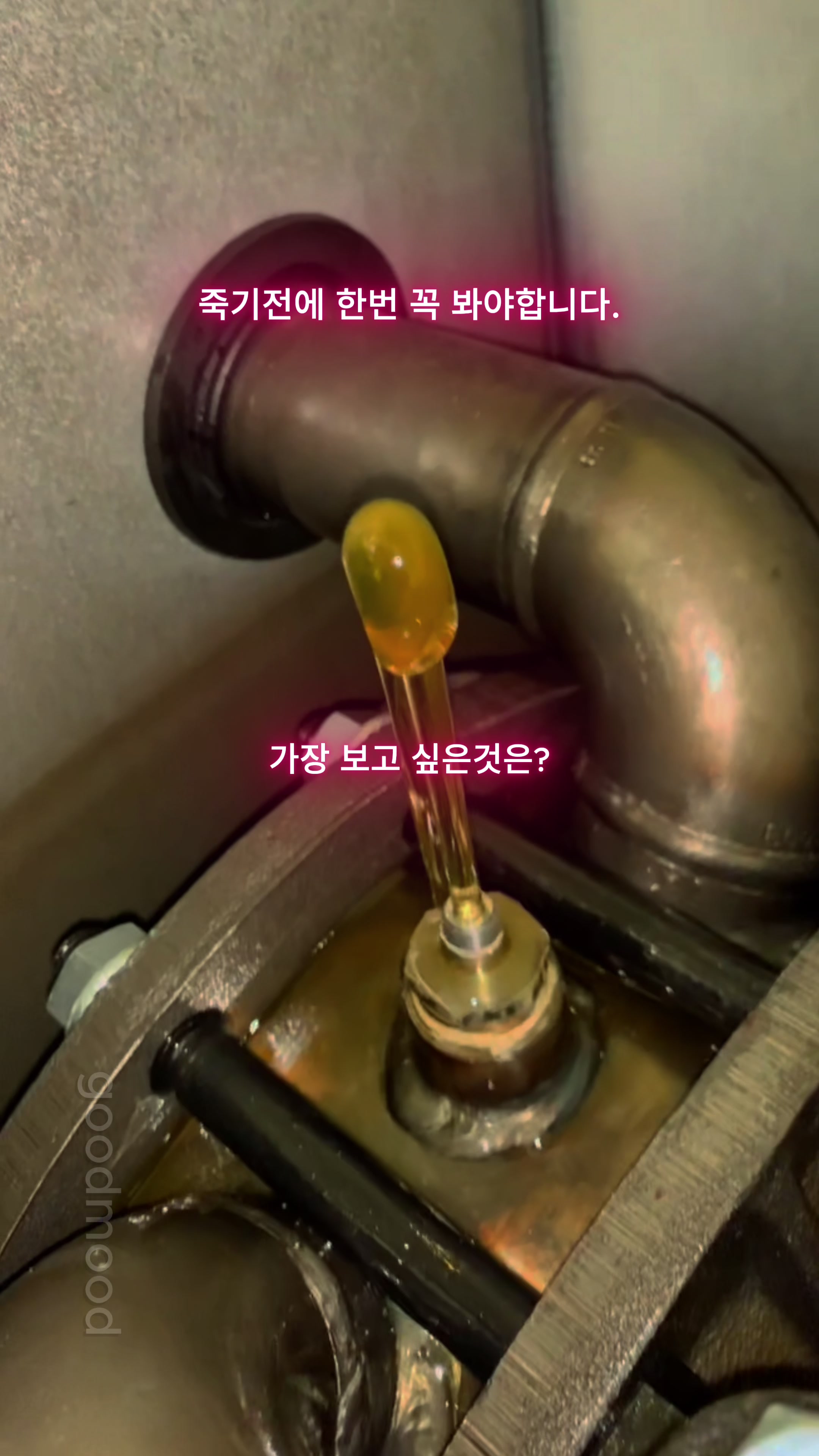 @GMT