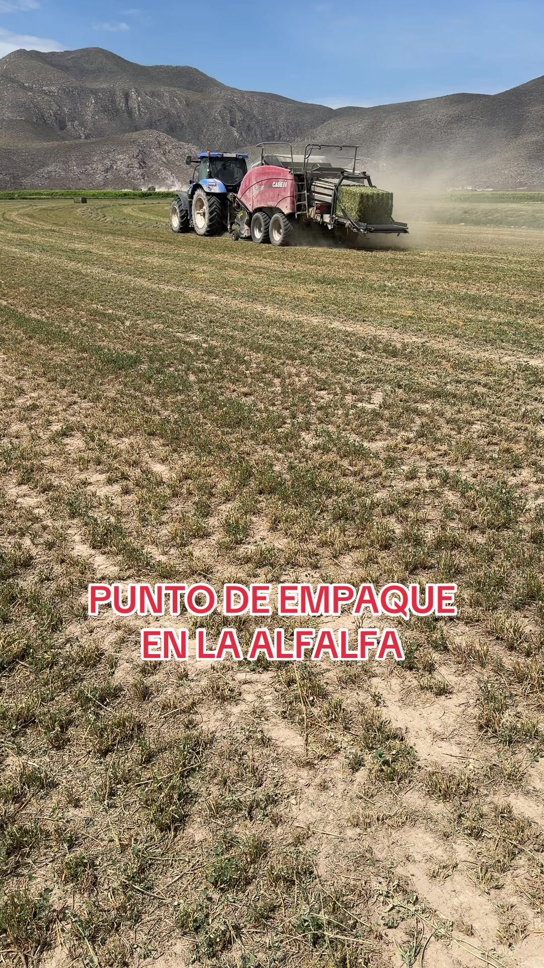 @Pablo Villarreal