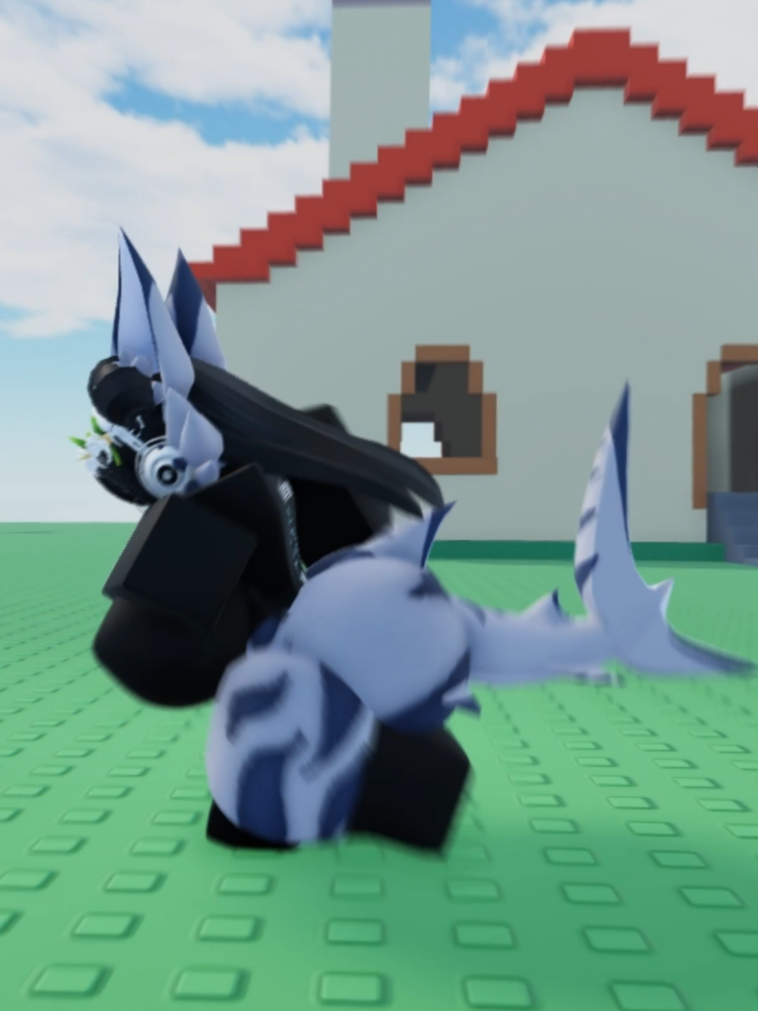 @LumineShark
