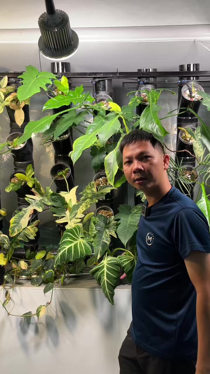 @Huy Kiểng L&aacute;