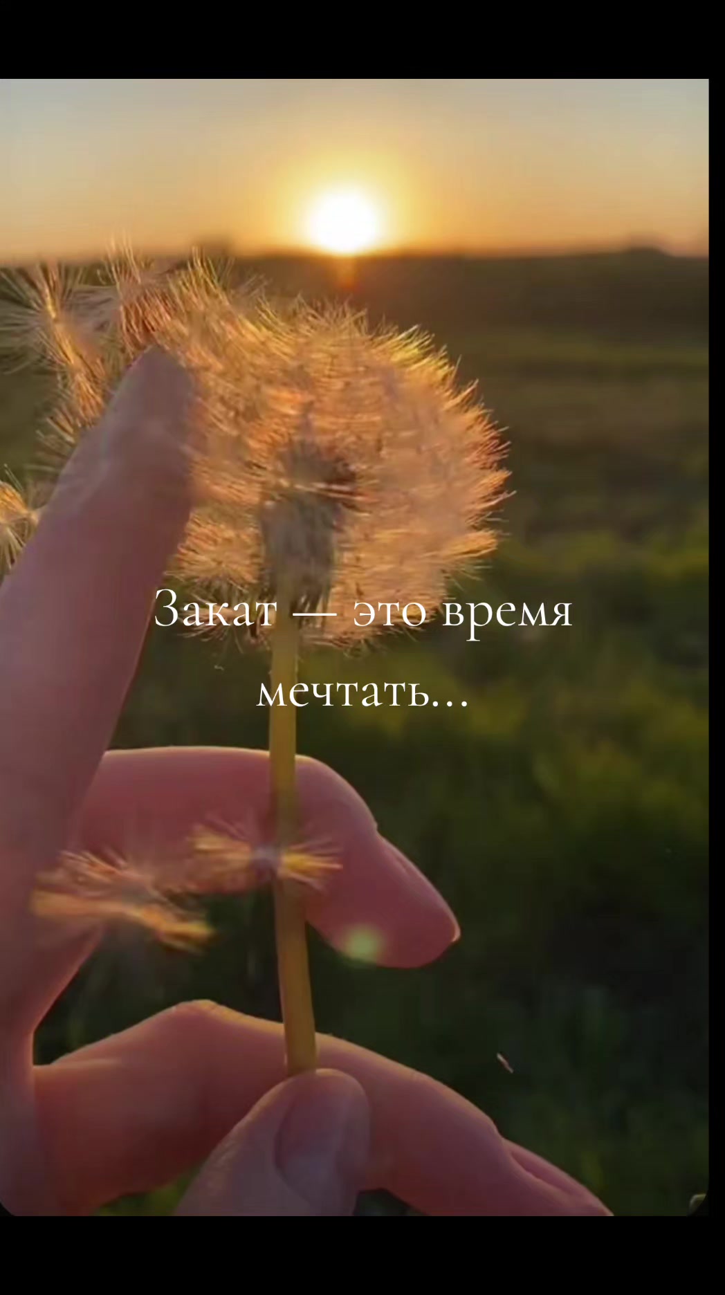@Prosto