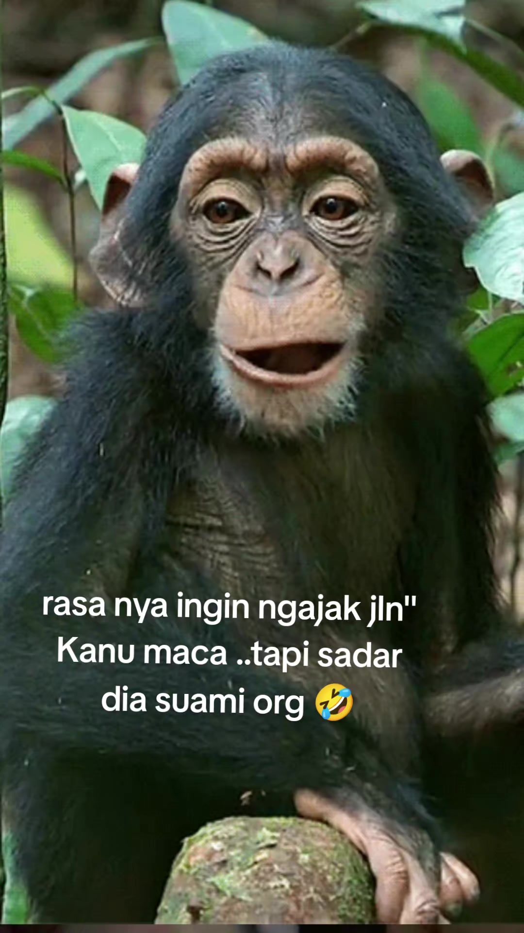 @Toko Akb@r