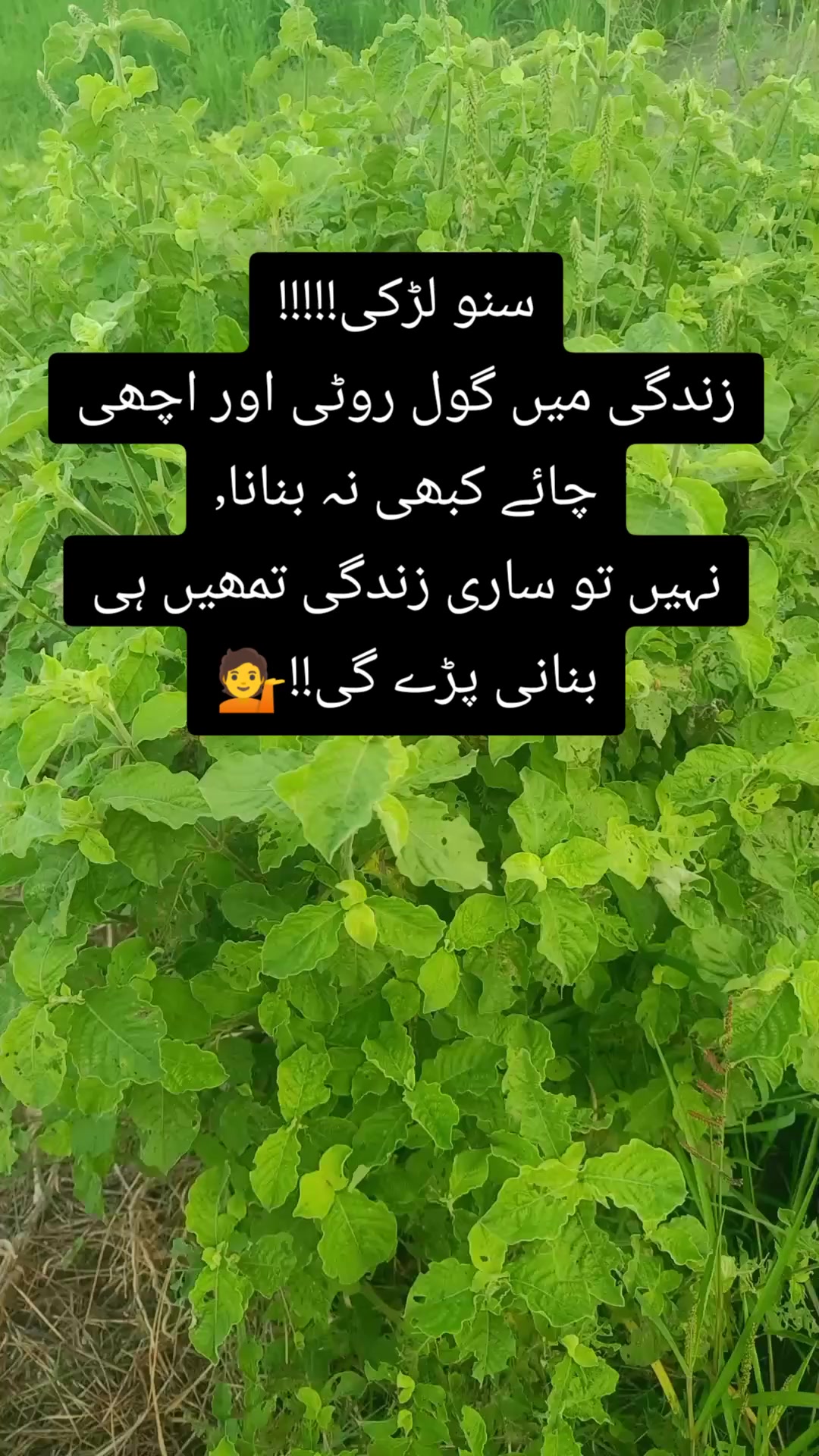 @═✶✦࿐Ɀ𝗶ᗪ𝚒✯᭄𝝝𝐣𝐣𝚒✦✶═