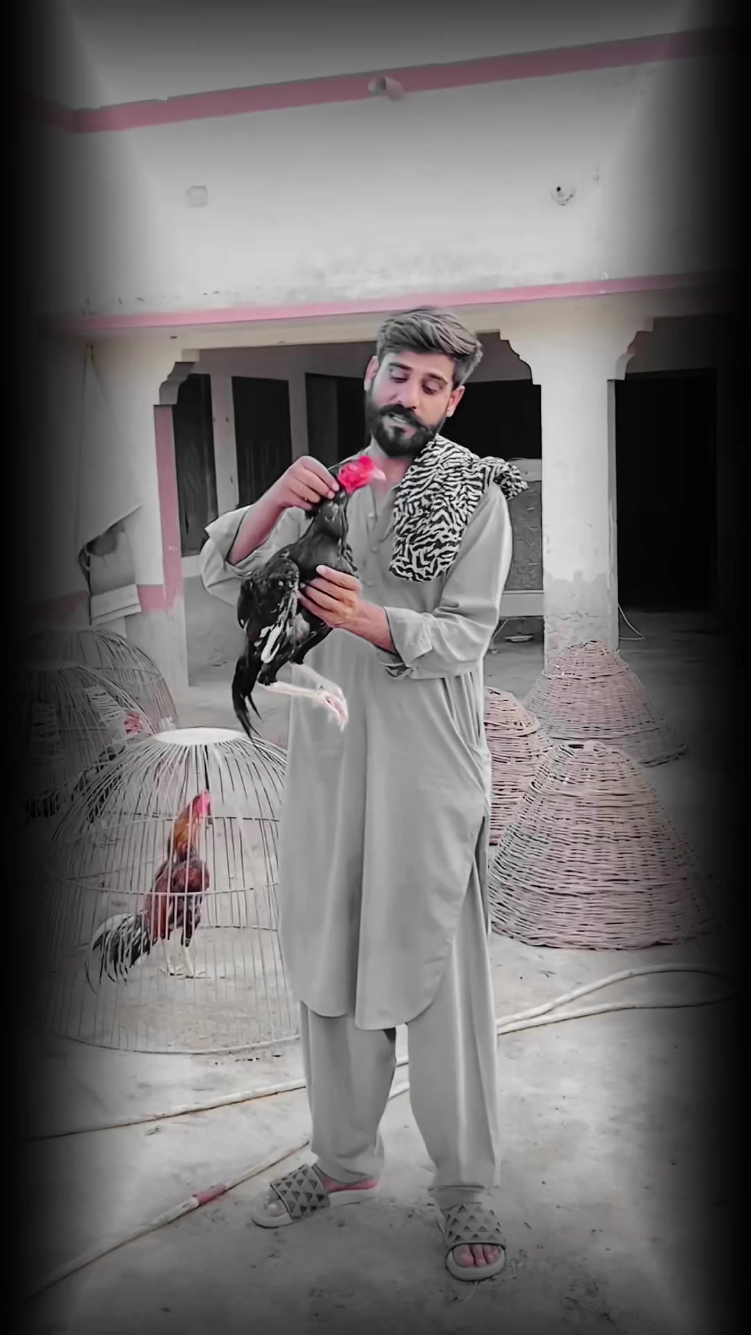 @Mahar Ajmal jutta