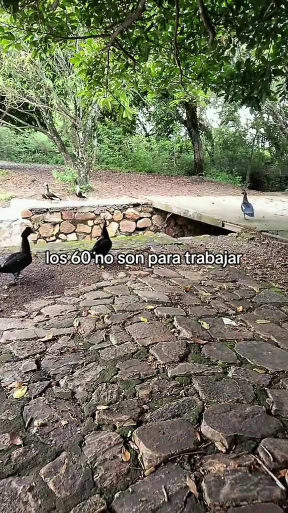 @Sara Chevez