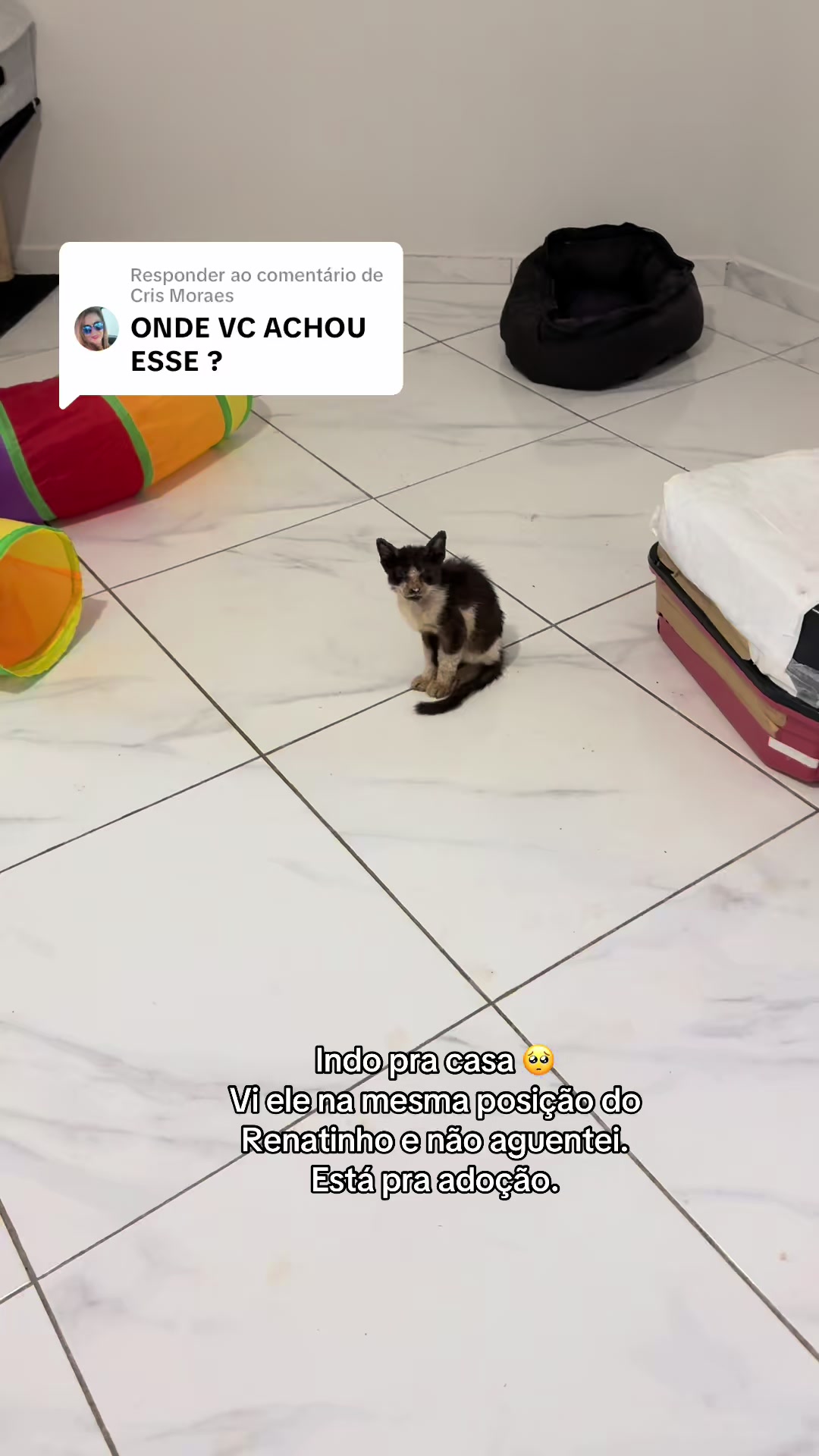 @ogatorenatinho