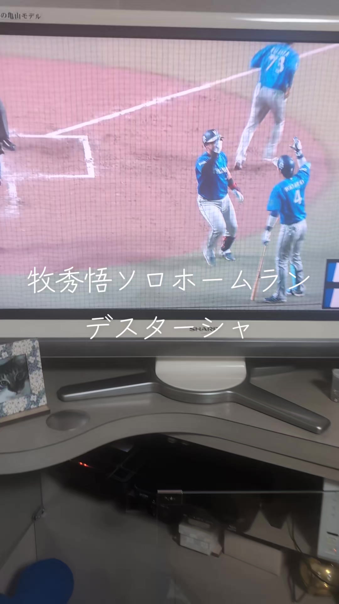 @たけしの全力爽快