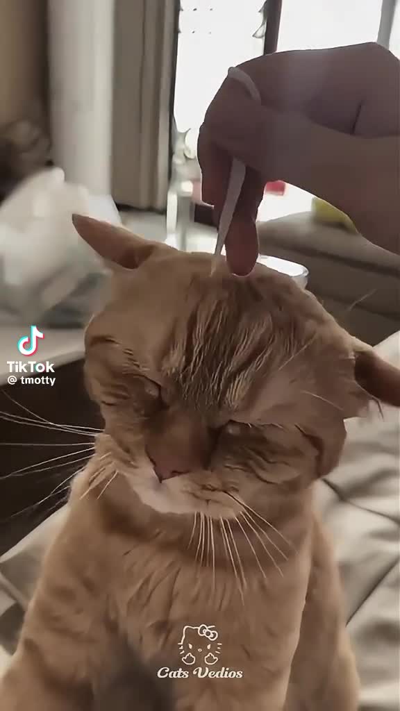 @๐๐ผ๐๐ถ๐