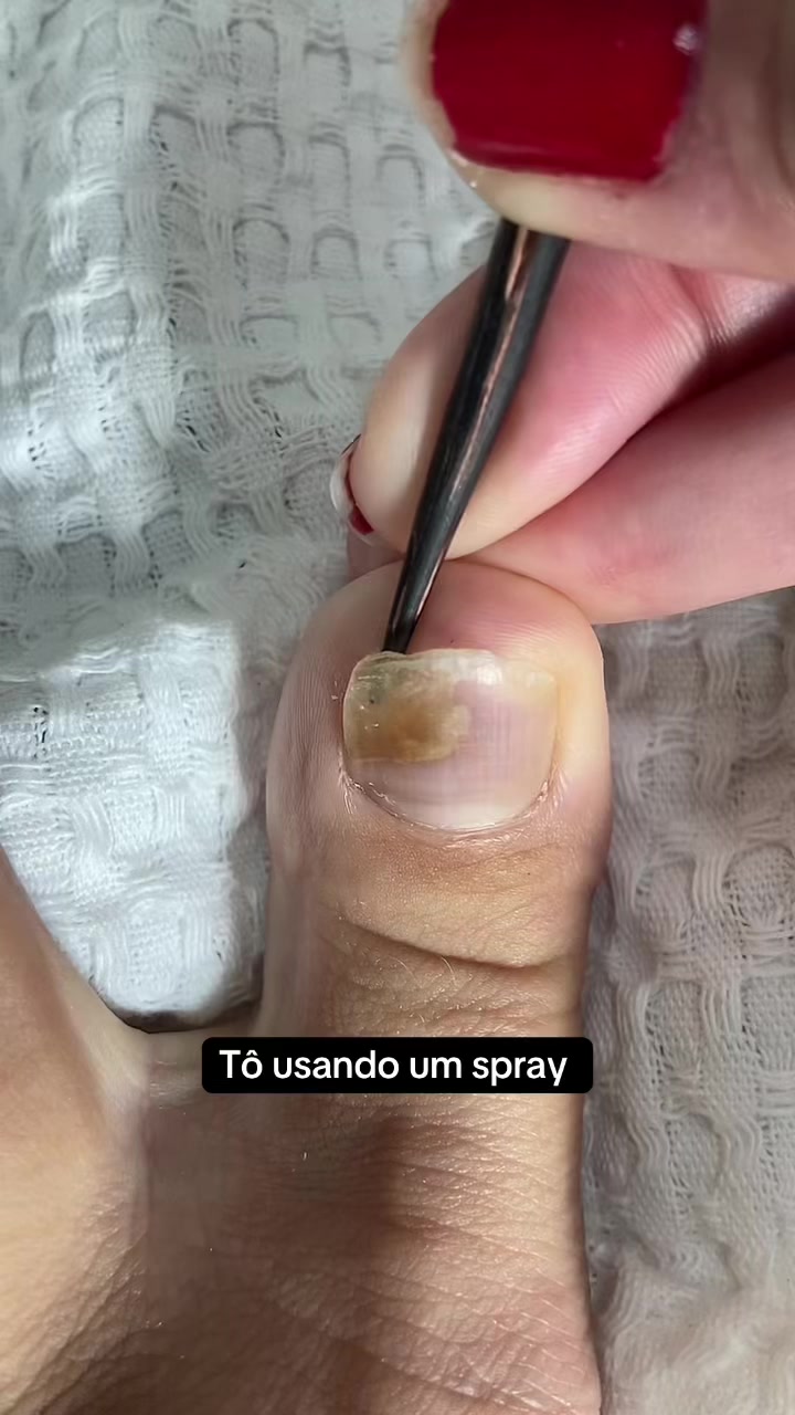 @Carolinaindica