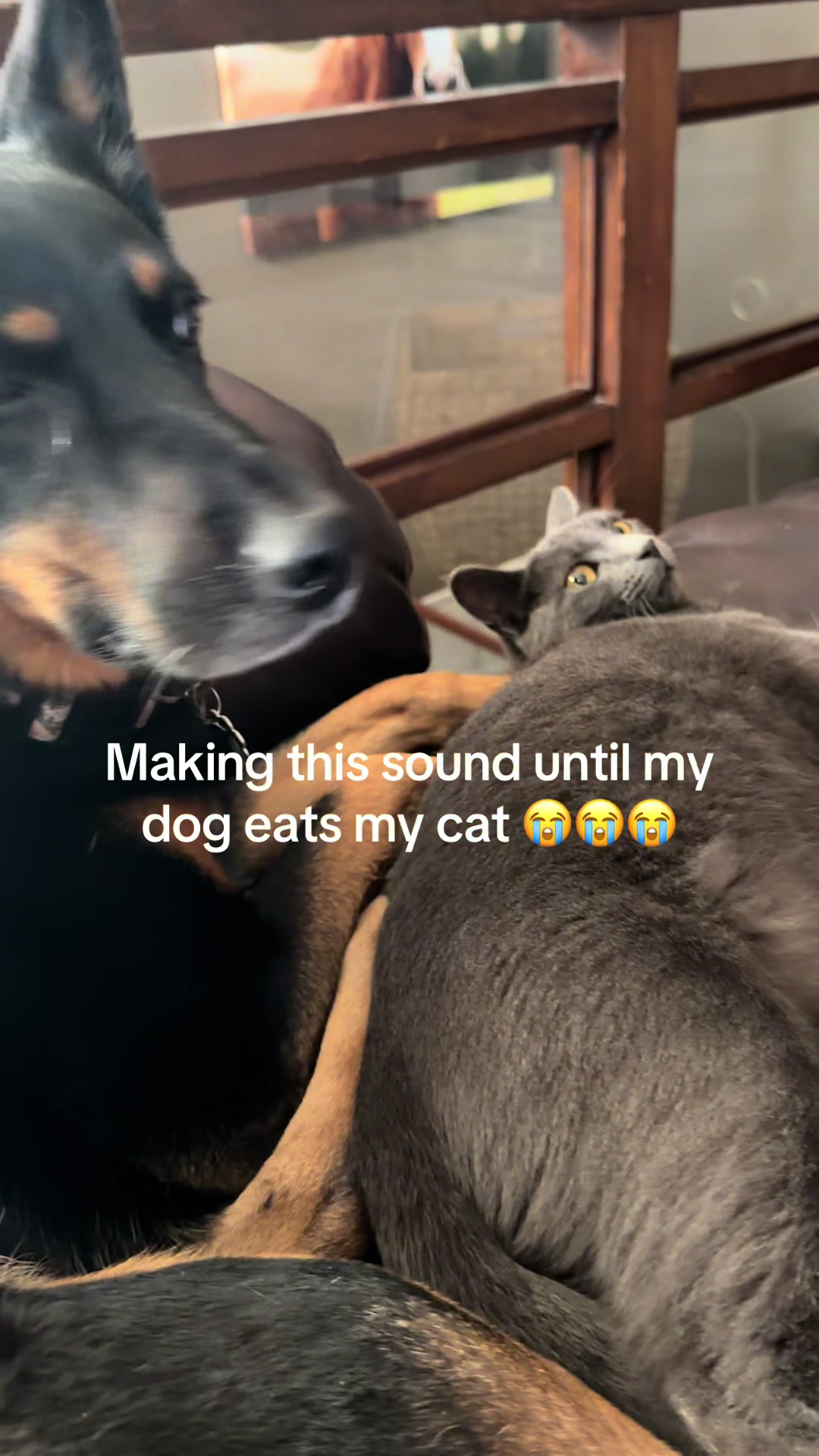 @FreakyAhCousin
