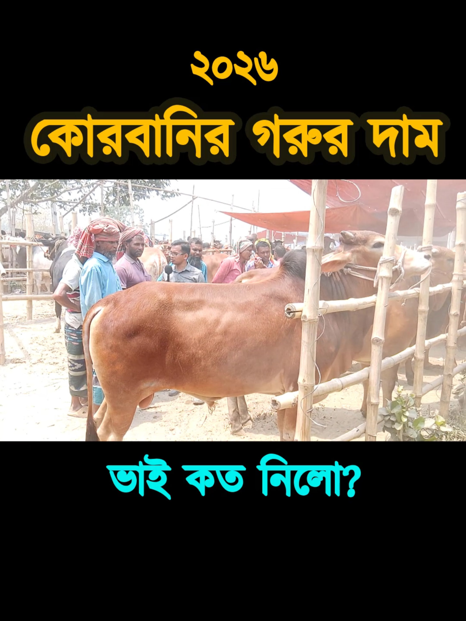 @Nayeem Islam