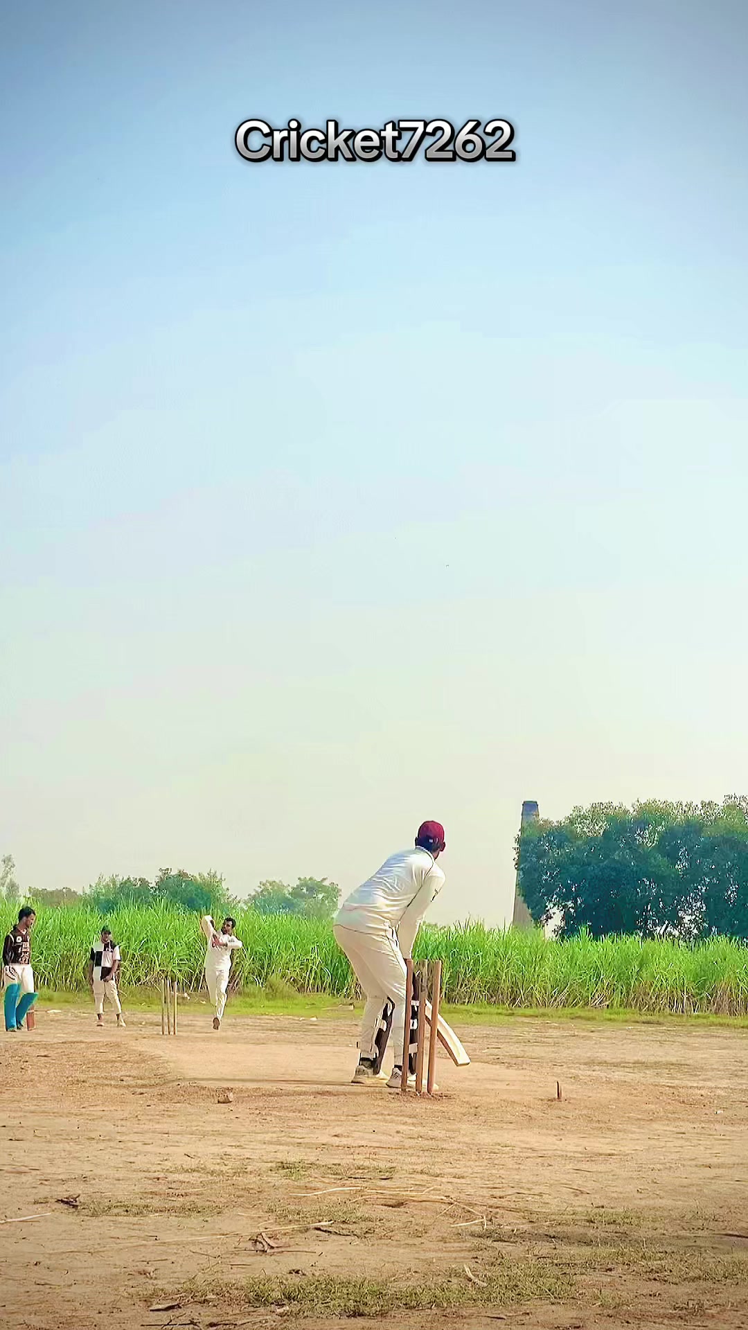 @cricket7262