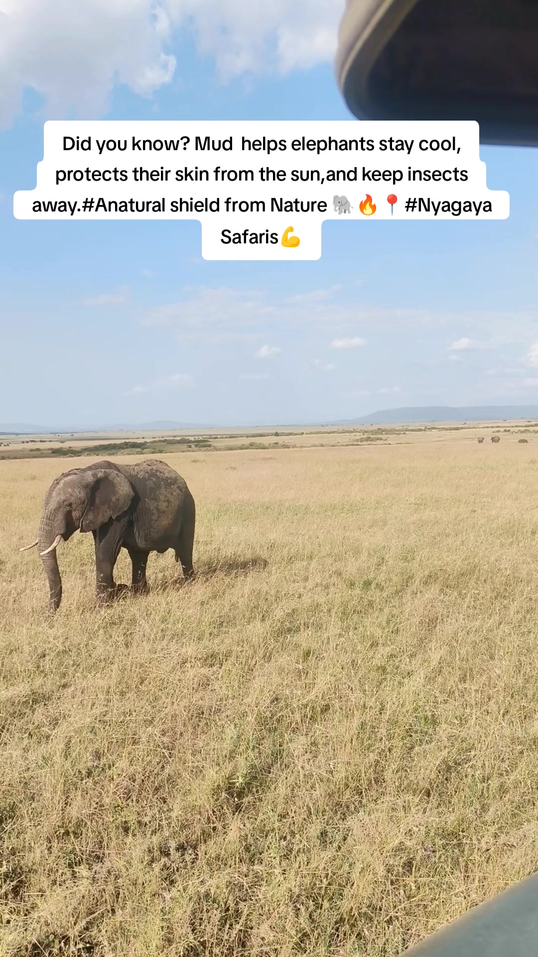 @Nyagayas Safaris 🤝