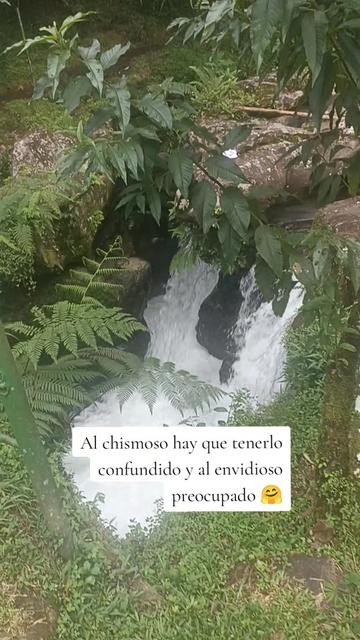 @❤️😘🧚Liliana Yanez