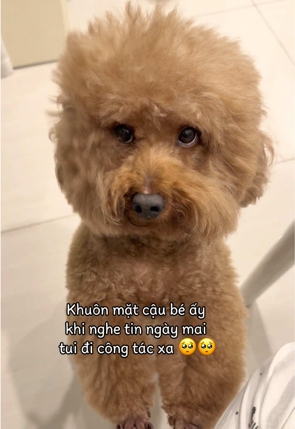 @Gia Đình AvocaBo
