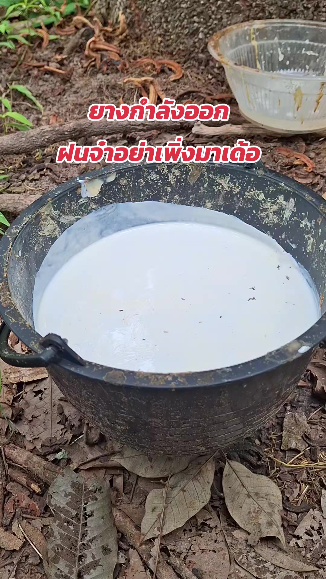 @แม่อ้อยเกษตรกรออนไลน์