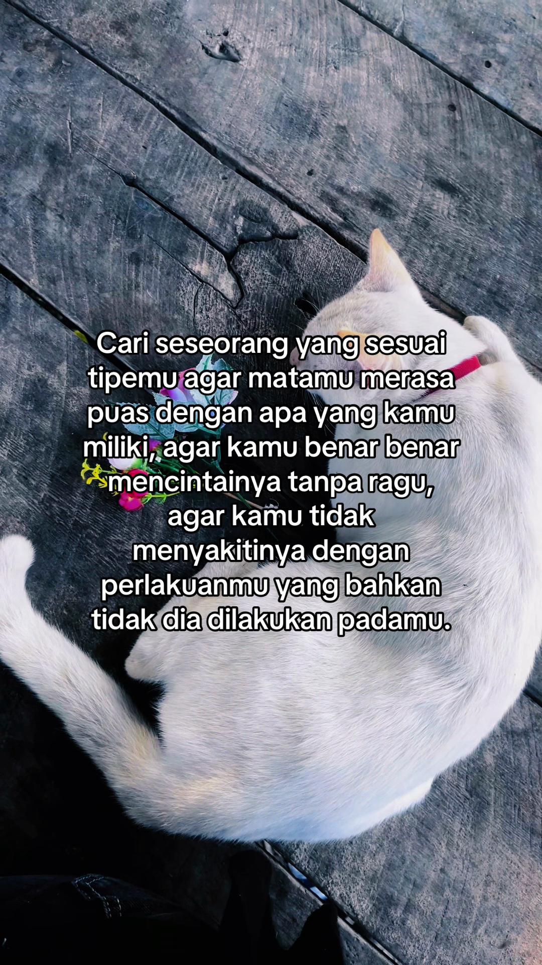 @Hai_Sisil🌸