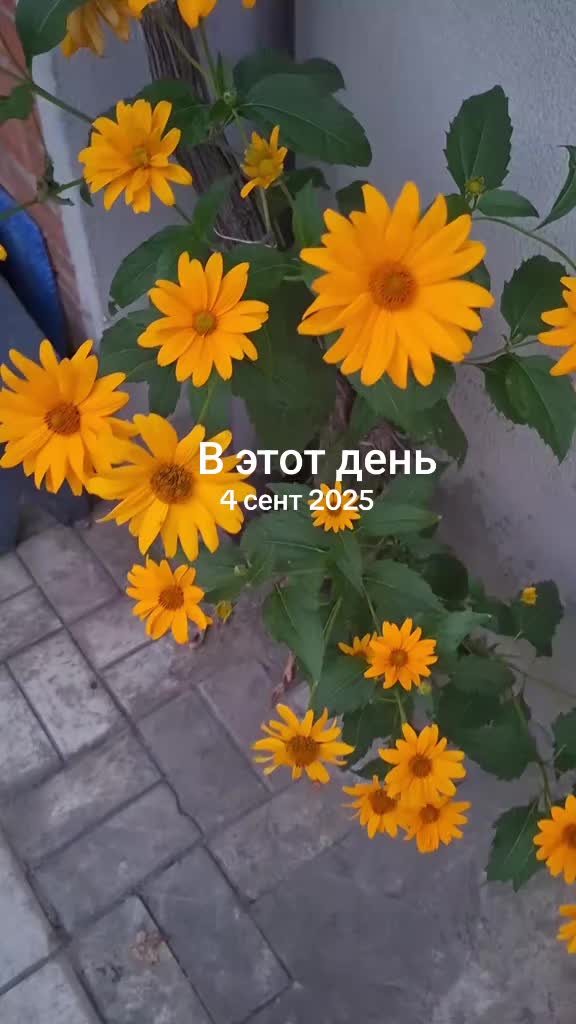 @Татьяна Татьяна