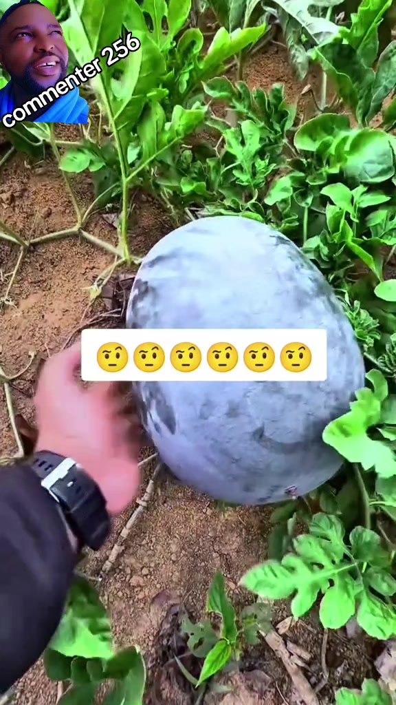 @commenter 256