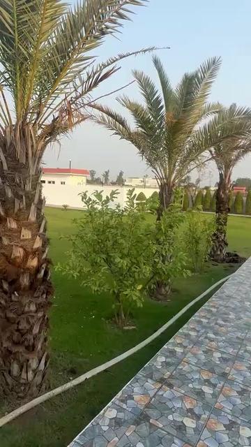@Thakur Rajput Smrath