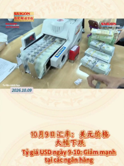 @西贡解放日报-Báo SGGP bản Hoa văn