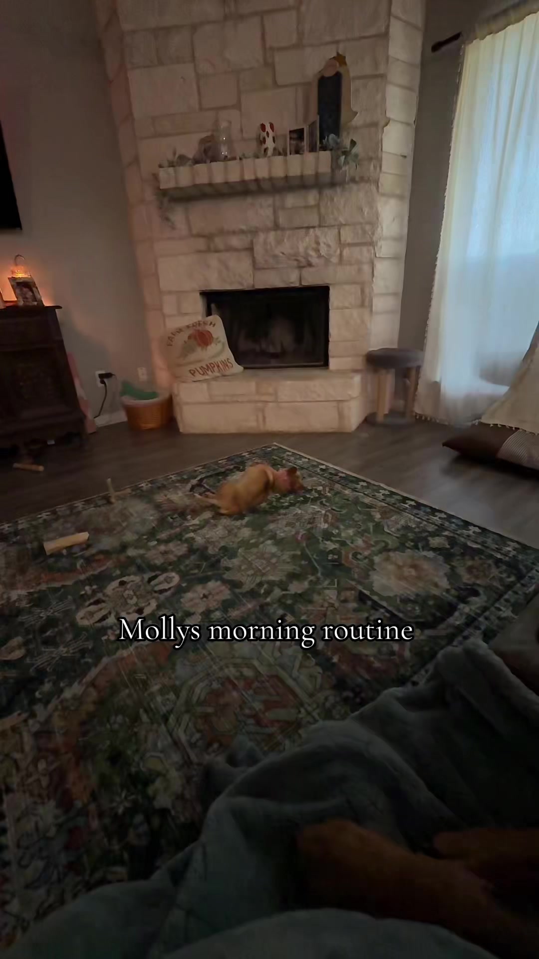@Mikah + paws 🐾