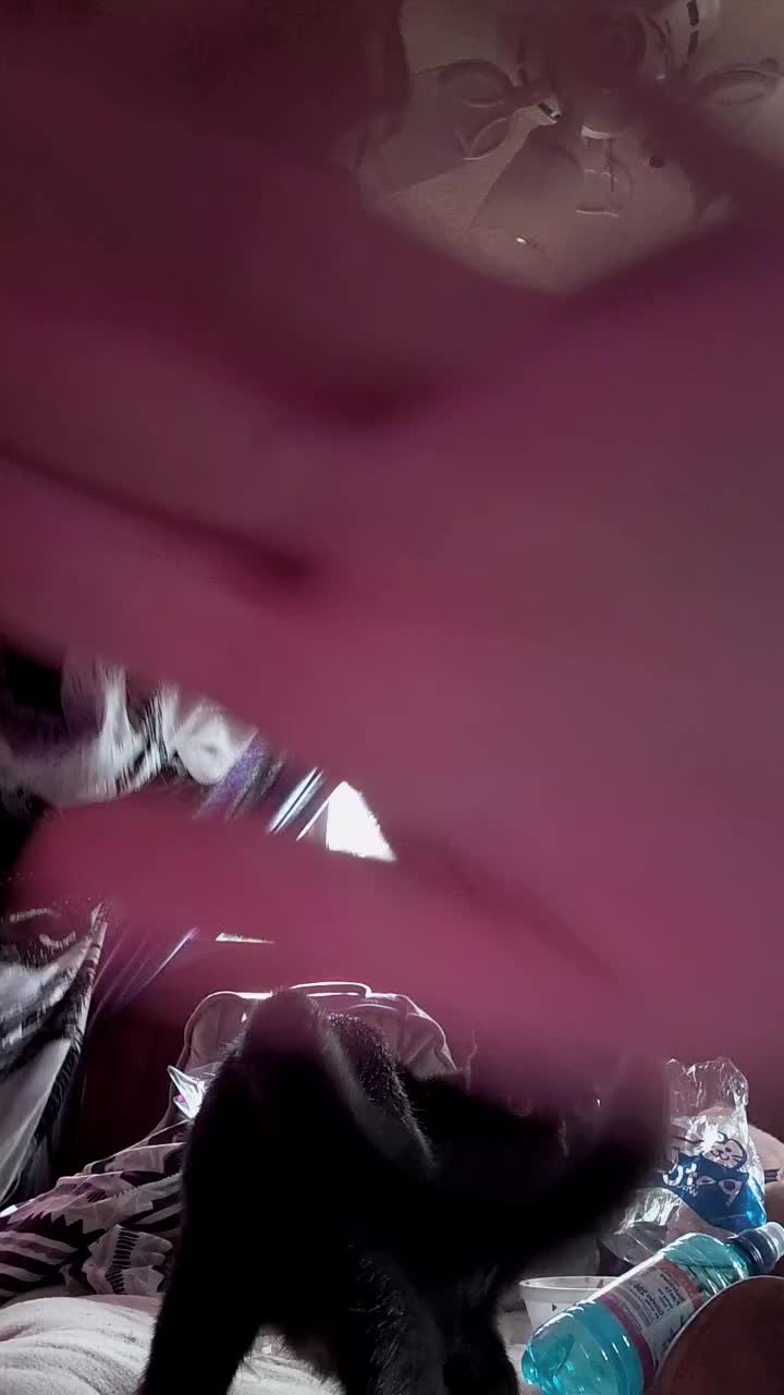 @☆࿐ཽ༵༆༒ ꨄ𝑩𝒂𝒃𝒚𝒂𝒔𝒉ꨄ ༒༆࿐ཽ༵☆