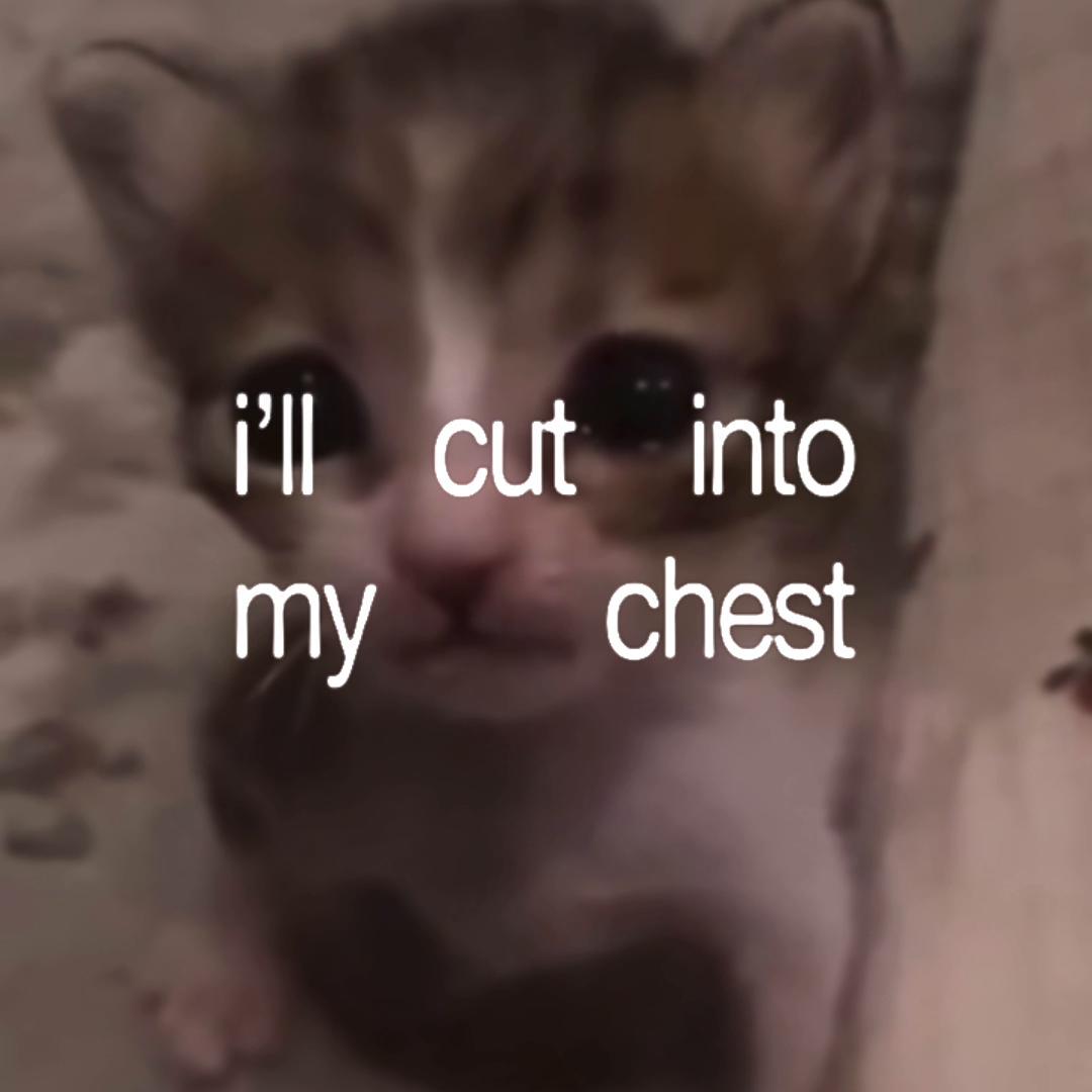 @ze66y
