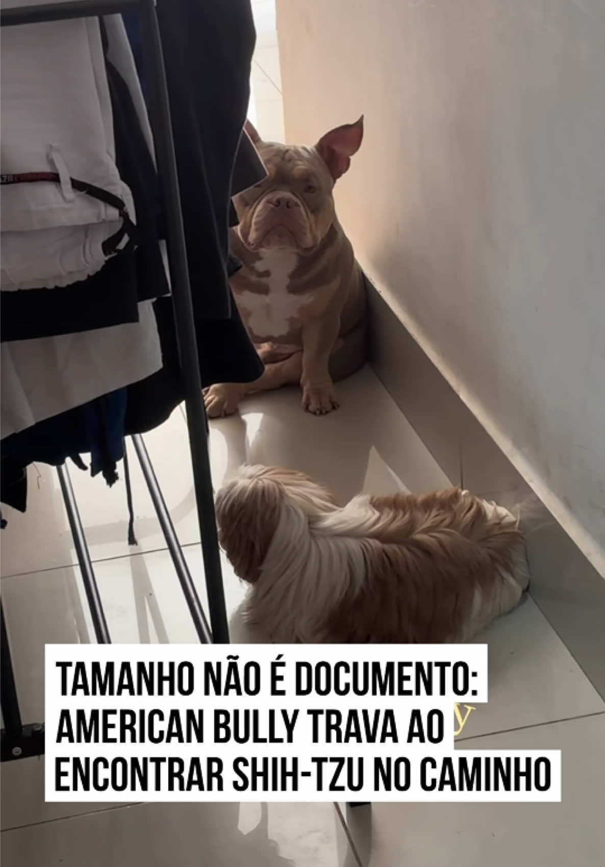 @Metrópoles Oficial