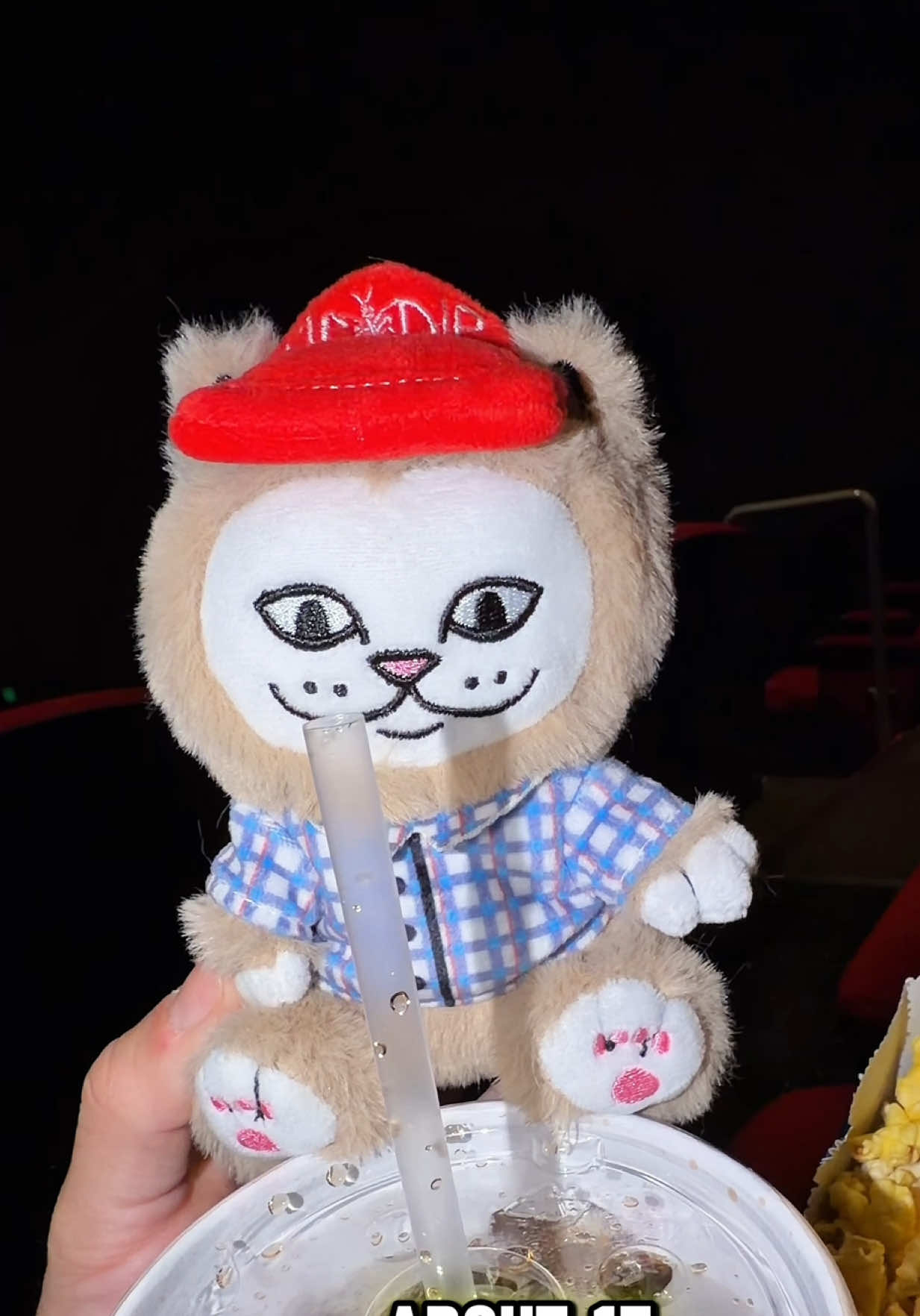 @RIPNDIP