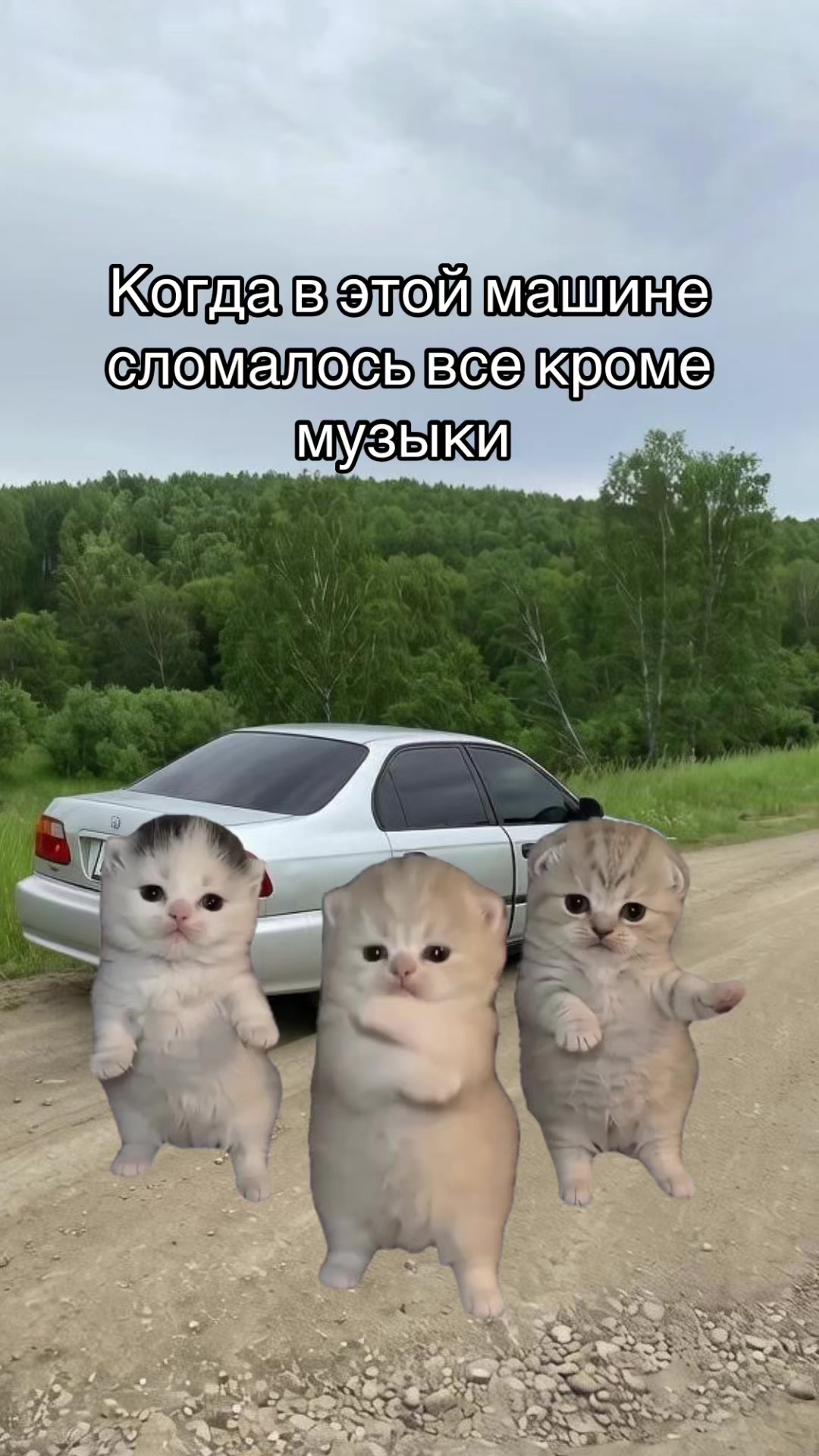 @Evgenia
