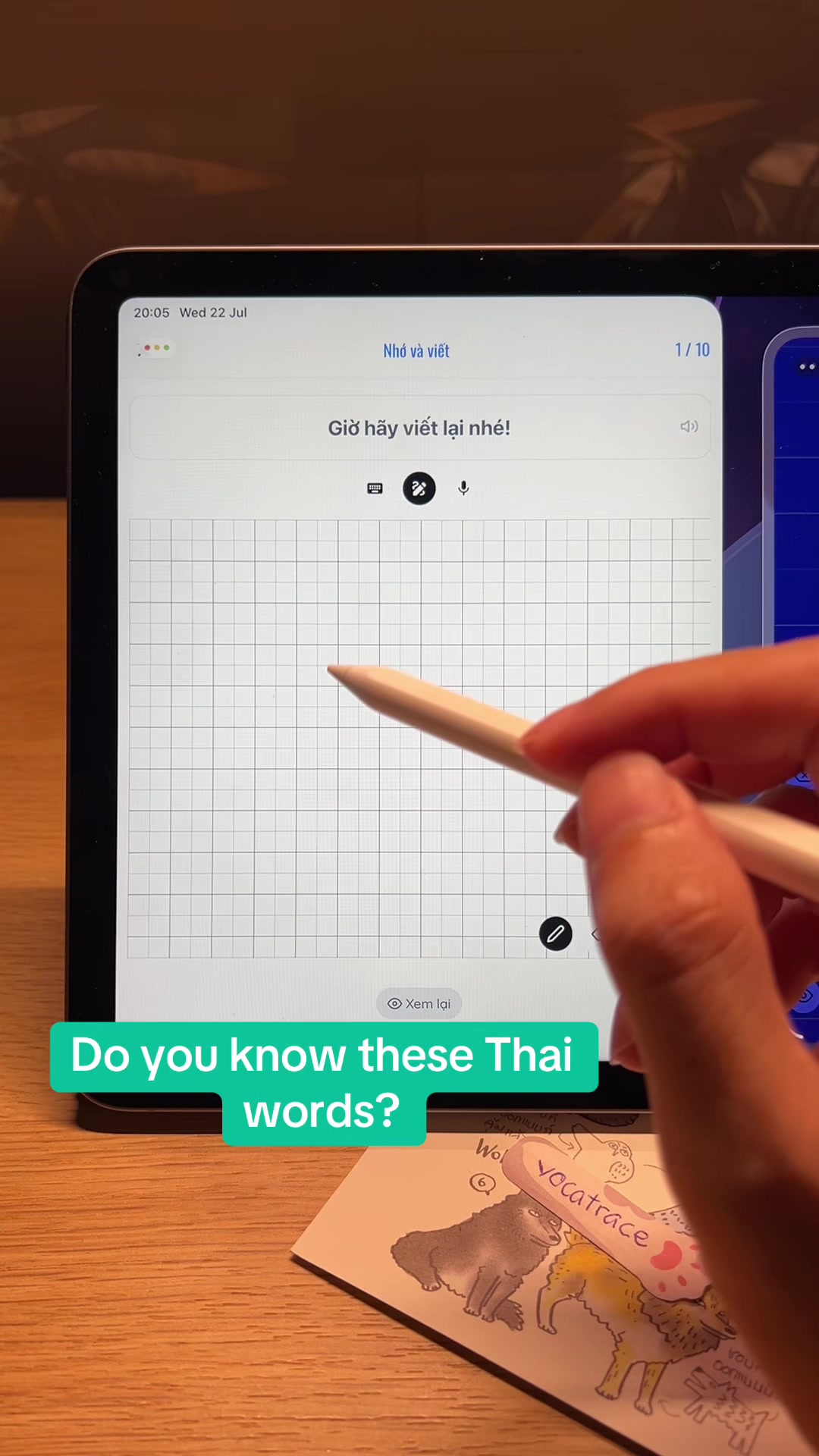 @thuong_studio