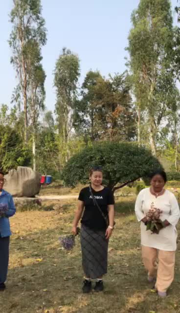 @Rita Limbu