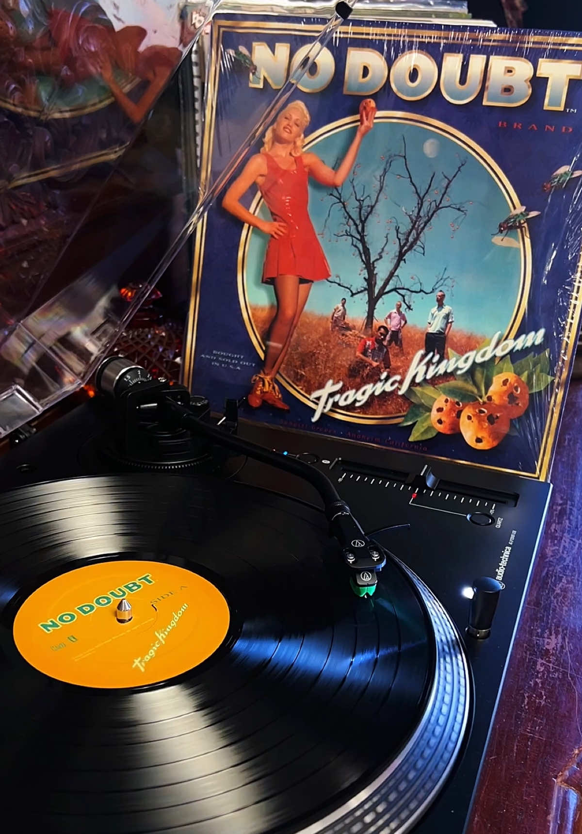 @Vintage Vibes Records