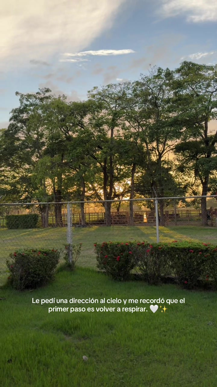 @Albani P&eacute;rez🦋