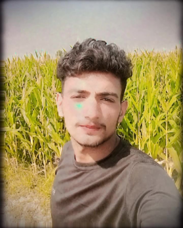 @MUSTFA Khichi