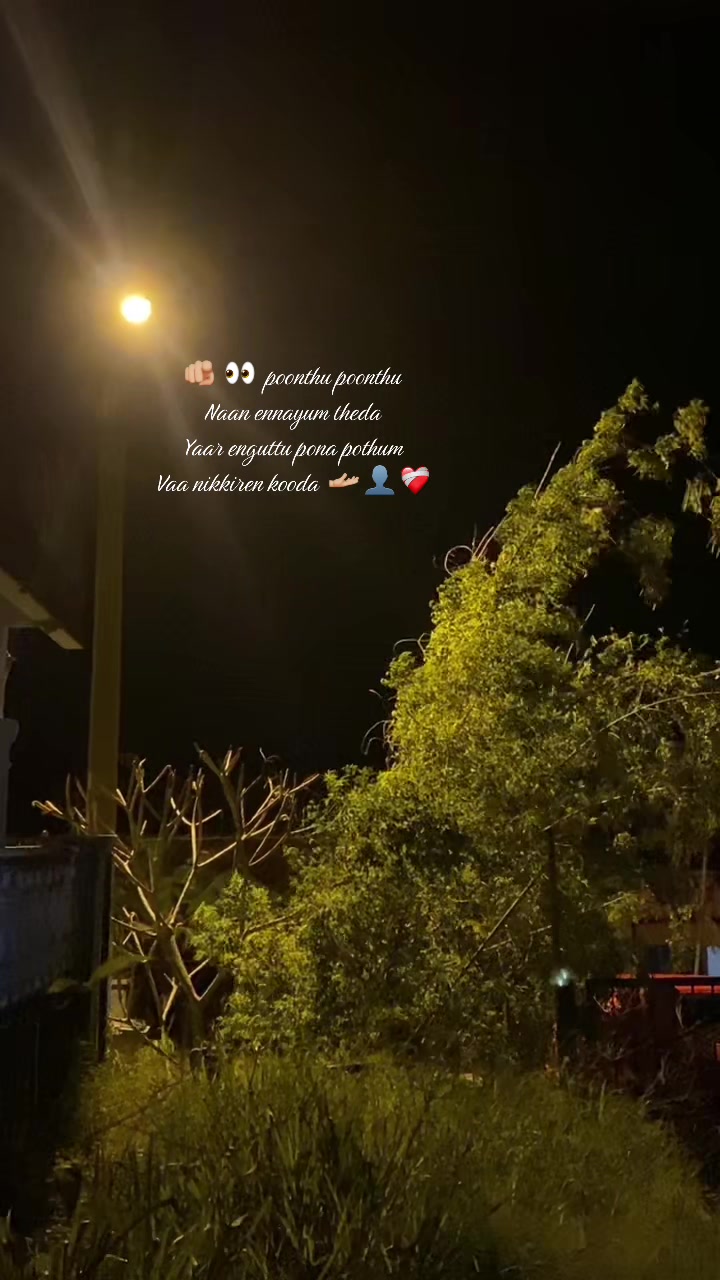 @Phava96 🧩🎲🐼