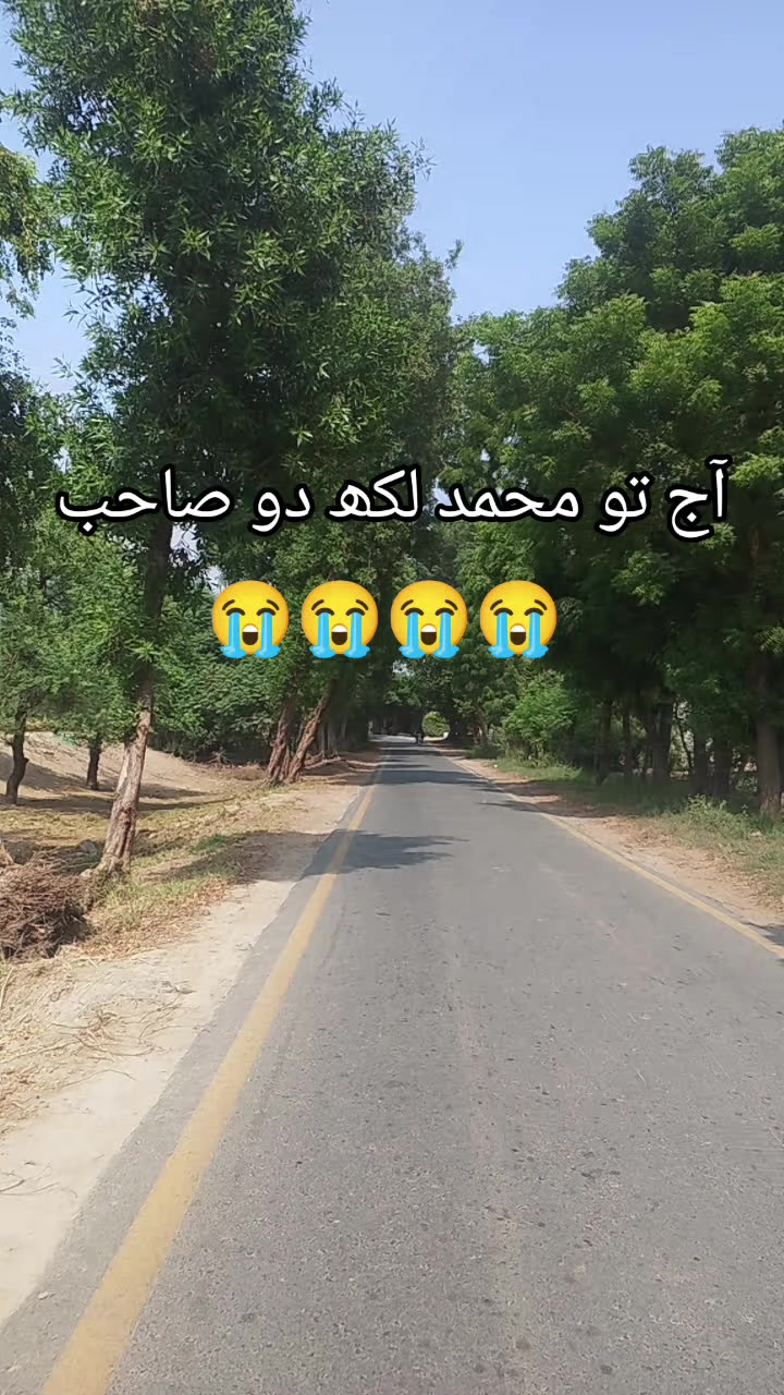 @<'پاگل' ہو >🦋