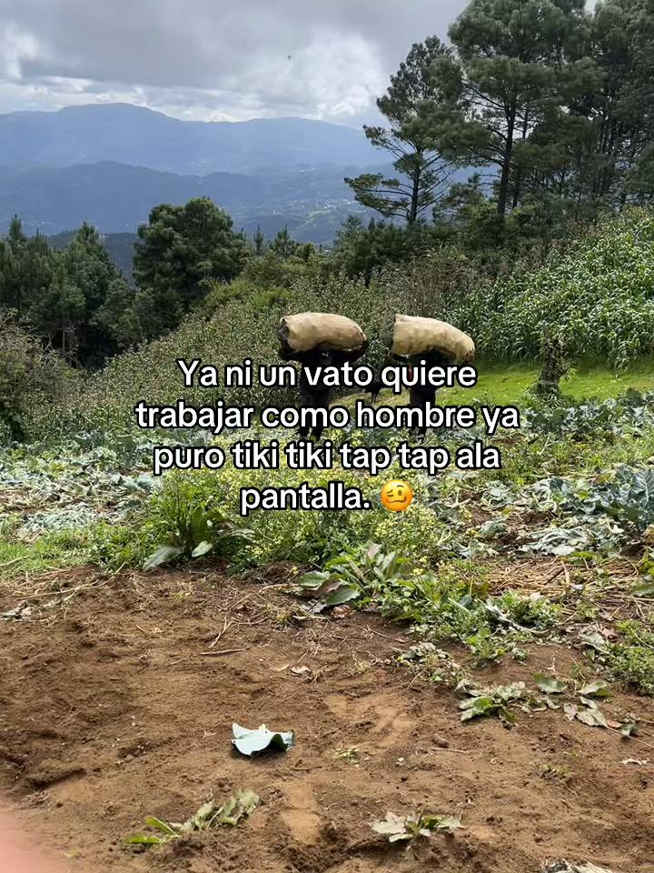 @Henry 🫡🤠