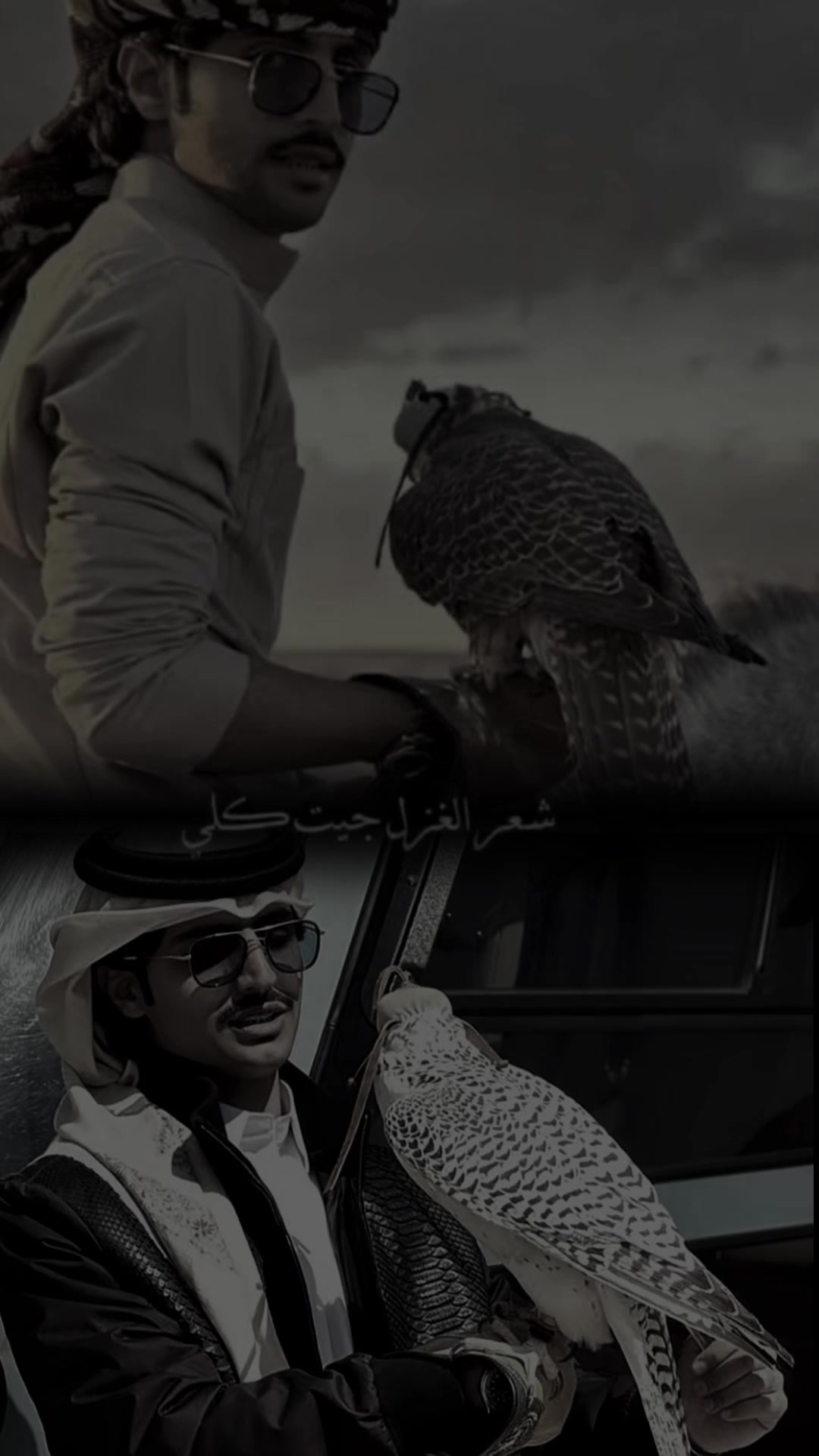 @فيصل