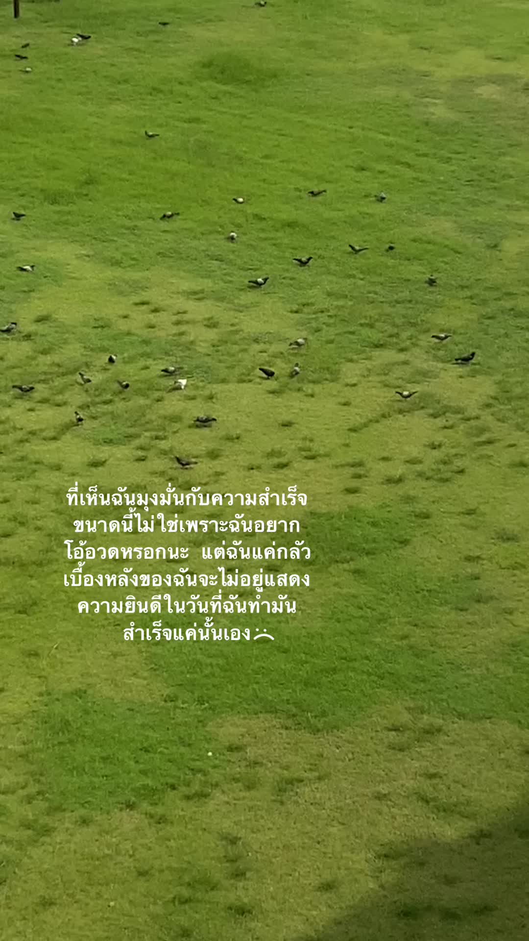 @Mr.ฮาลิส🐳